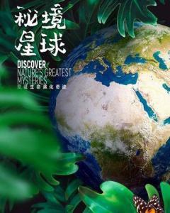 探秘烟台短途货运起步价及价格,发现红迪网上的精彩世界!